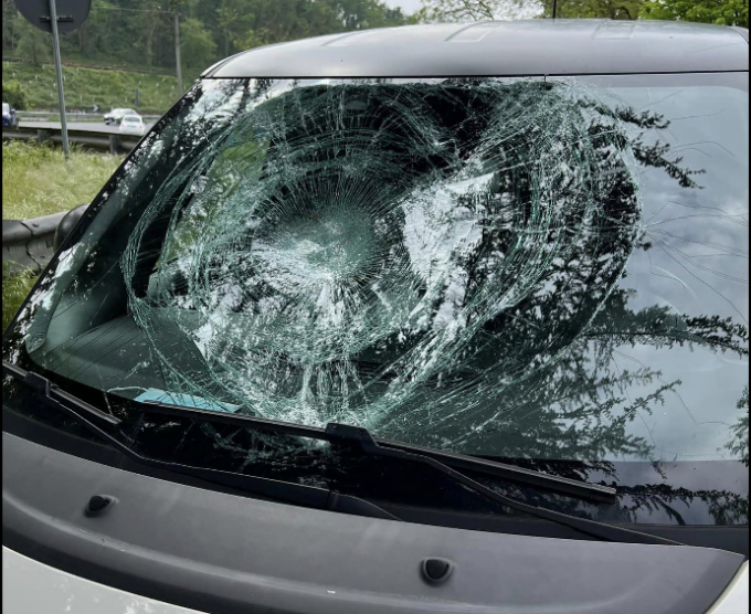 “Quell’albero si è abbattuto sulla mia auto ma per un soffio non ha colpito un ciclista”