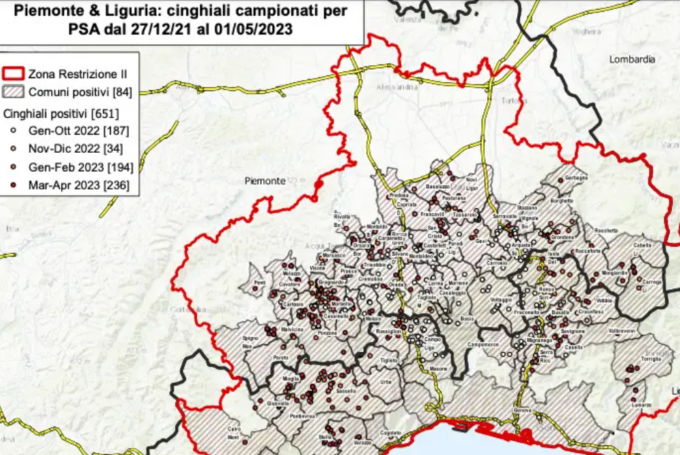 Peste suina: un nuovo caso in Piemonte