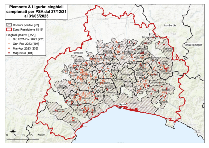 Peste suina africana: 755 casi tra Piemonte e Liguria