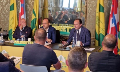 Peste suina: incontro tra Coldiretti e Cirio per salvare il comparto suinicolo piemontese