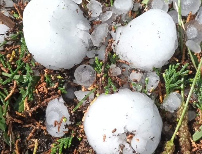 Grandinata di ieri, il Piemonte chiederà lo stato di calamità naturale