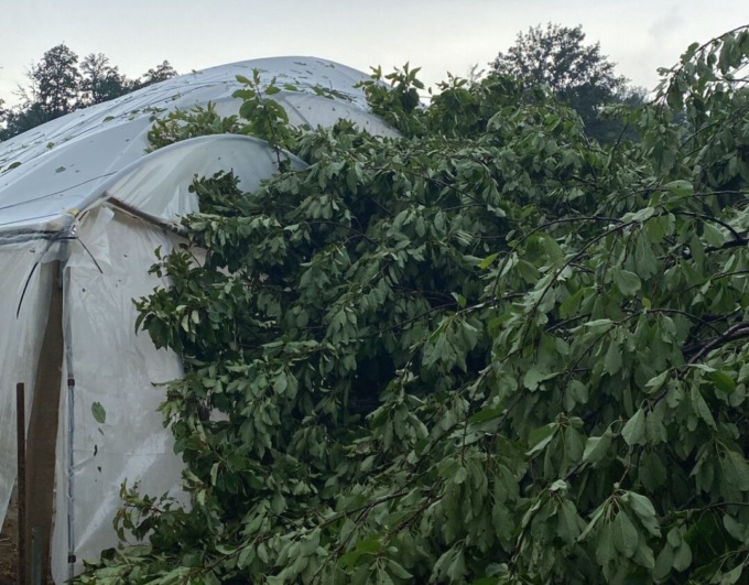 Tempesta sul Novarese: danni alle aziende del territorio