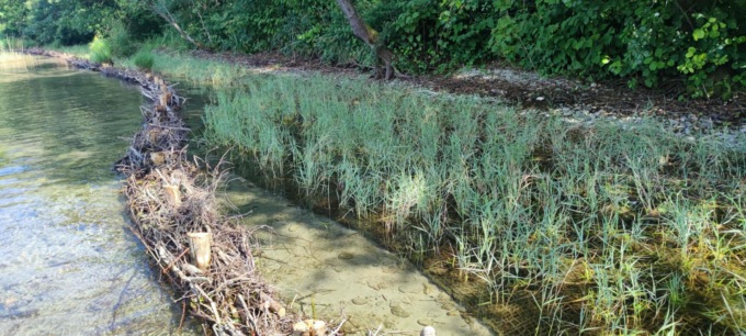 Gozzano: la via dei canneti rinasce grazie a un progetto totalmente “green”