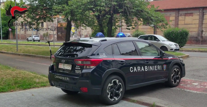 I Forestali salvano 17 cani nel novarese, Lndc: “Situazioni da denunciare per non essere complici”