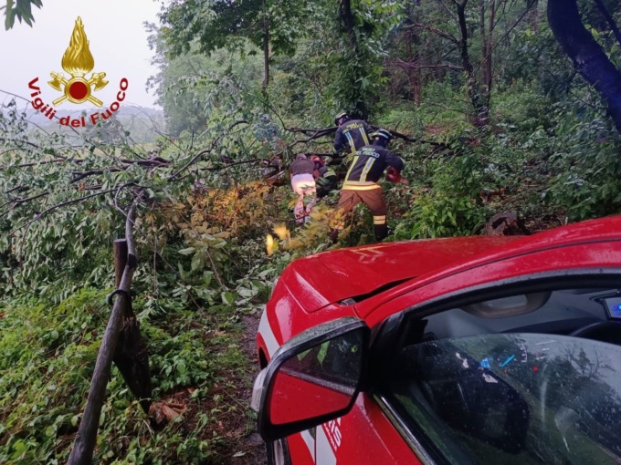 Castelletto: donna colpita da un albero, è grave