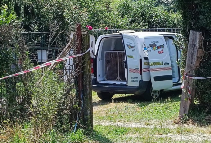 Attivisti fanno sequestrare rifugio lager a Borgo Ticino