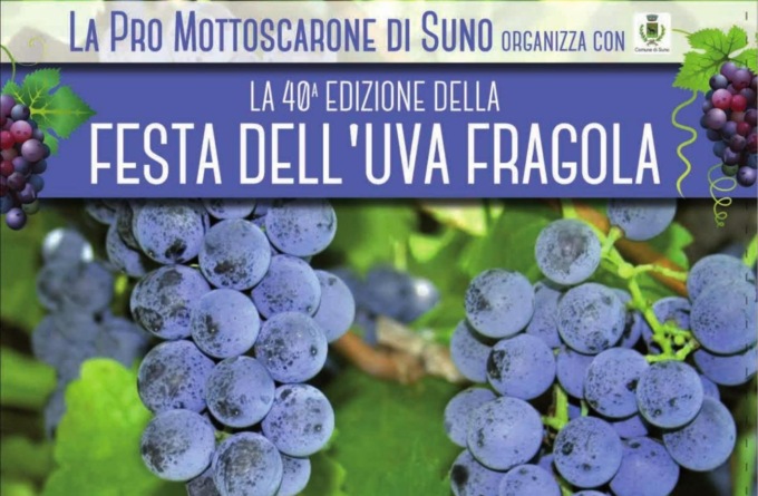 Cosa fare a Novara e provincia: gli eventi del fine settimana del 19 e 20 agosto