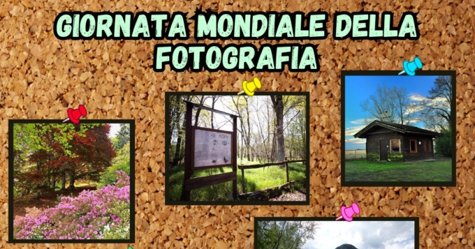 Parco del Ticino e Lago Maggiore: un contest per la giornata mondiale della fotografia