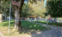 Minorenne accoltellato al parco: lungo interrogatorio per uno degli imputati