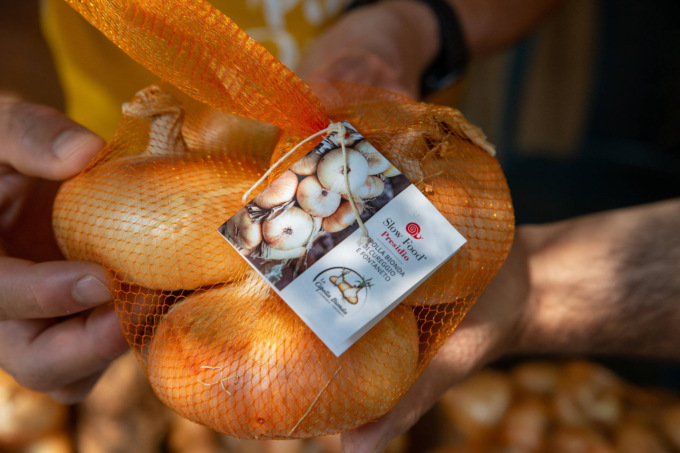 Oggi e domani a Fontaneto torna la fiera della cipolla bionda, presidio Slow food che compie 10 anni