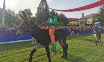 Palio degli asini a Borgomanero: vince San Bernardo