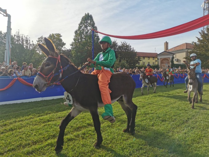 Palio degli asini a Borgomanero: vince San Bernardo