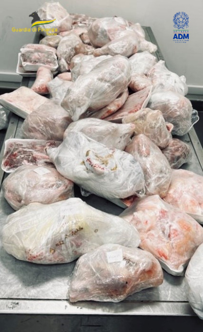 Arriva in aeroporto a Torino dall’Egito con 64 kg di carne in valigia: merce sequestrata