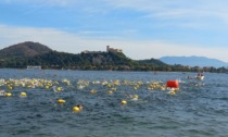 Novecento coraggiosi in acqua per la Traversata tra Arona e Angera - Video