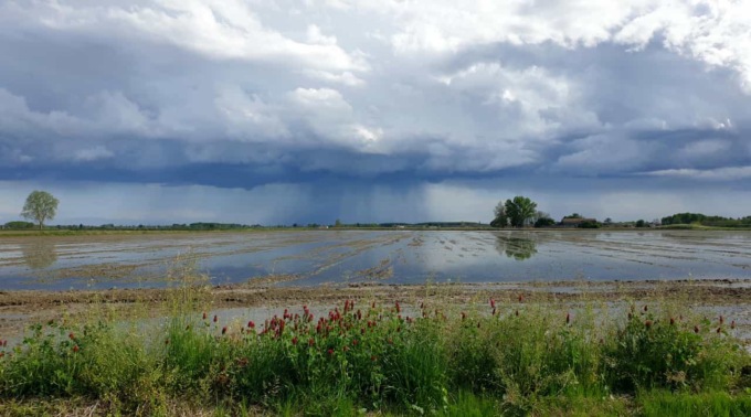 Stagione irrigua 2023: Est Sesia traccia un bilancio positivo e parla di “critiche infondate”
