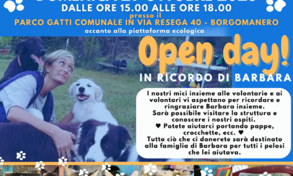 Un open day al gattile per ricordare Barbara Pastori