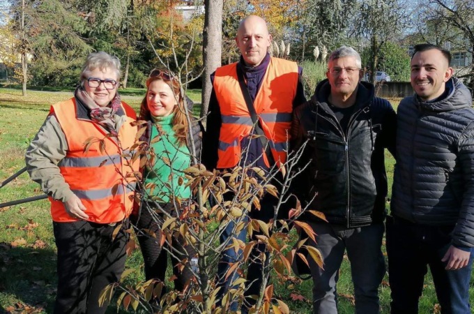 Tre piante messe a dimora dall’Associazione Ambiente Odv per la Festa dell’Albero a Trecate