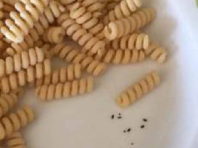 Larve nella pasta della mensa: scoppia il caso a Castelletto