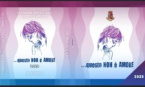 Questura Novara: 96 denunce per reati riconducibili al "codice rosso" nel 2023