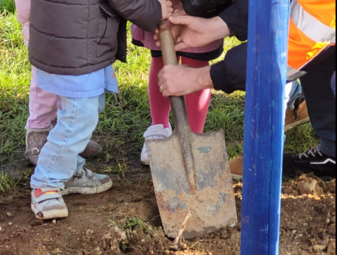 Festa dell’albero 2023: al via gli appuntamenti