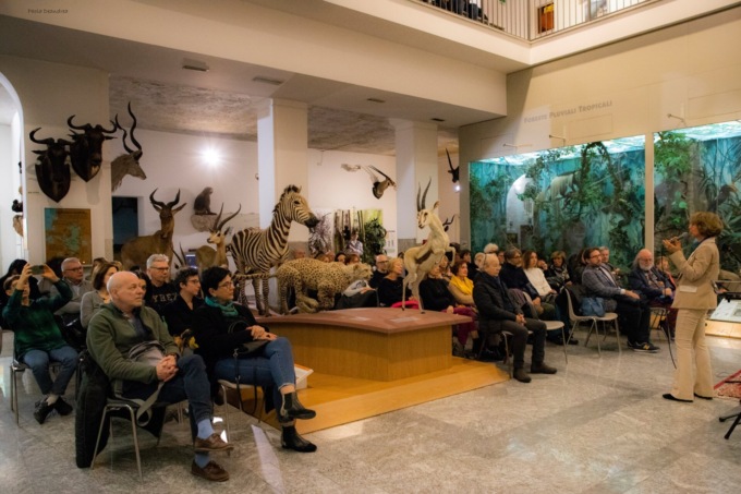 Invito al Museo Faraggiana: serata di musica sulle note dei Beatles