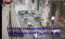 "Nonna, papà ha ucciso un bimbo e rischia il carcere, servono soldi". Ma era una truffa - VIDEO