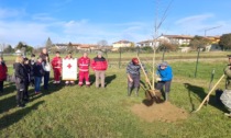 A Oleggio tre piante dedicate a Cristian e Dawna Cecala e al volontario Saverio Quirico