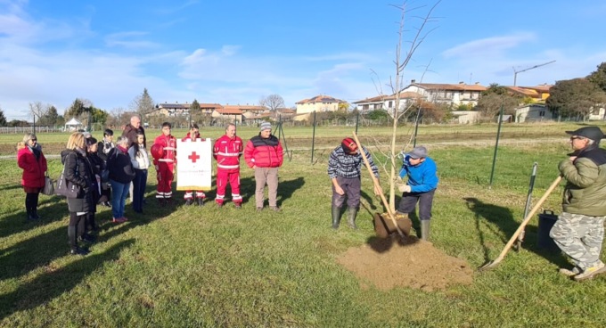 A Oleggio tre piante dedicate a Cristian e Dawna Cecala e al volontario Saverio Quirico