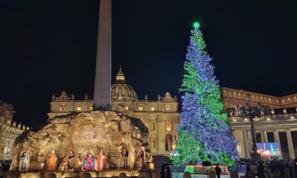 L’albero di Natale piemontese brilla in piazza San Pietro a Roma