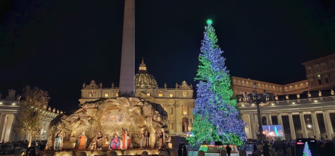 L’albero di Natale piemontese brilla in piazza San Pietro a Roma