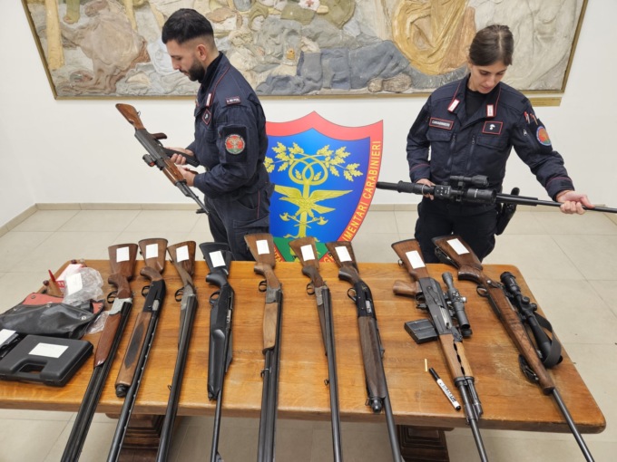 Mattanza di cervi e daini ad Agrate Conturbia: intervengono i Forestali