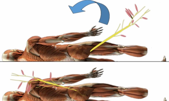 Rivoluzionario intervento al Cto di Torino, utilizzati i nervi del piede per ripristinare l’uso della mano: è la prima volta al mondo