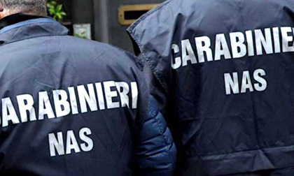 Controlli tra Novara e Trecate: sequestrati più di 500 kg di alimenti scaduti