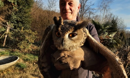 Il Comune di Verbania ringrazia la famiglia Calligarich per il lavoro svolto per gli animali