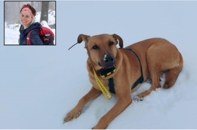 Tragedia in Val Formazza: “Aiutateci a trovare il cane di Vanessa”