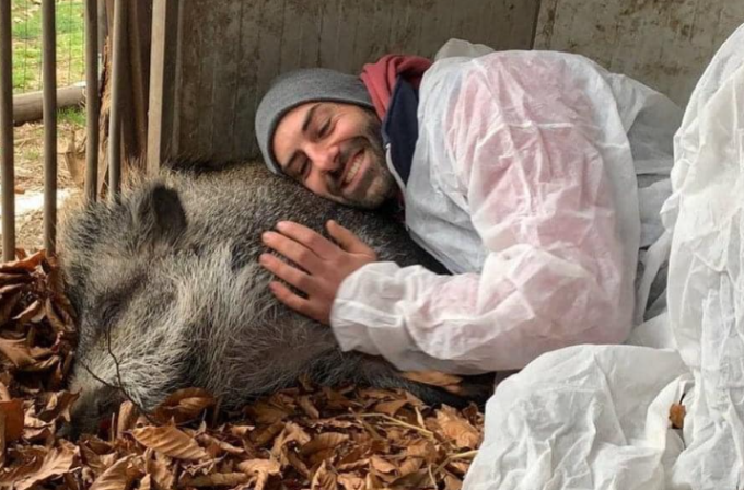 Il caso della maialina Tina di Castelletto in Regione: “Perché non succeda più”