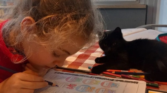 Così la gattina Mercoledì è tornata a casa dalla sua “padroncina”