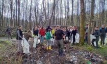 Pulizia dell’Area del Colombaro a Borgomanero