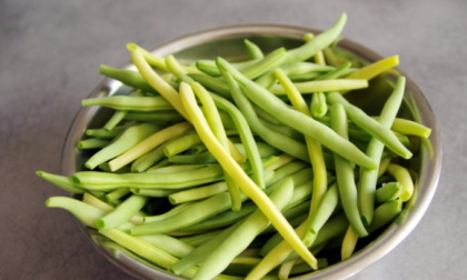 In regalo questa settimana con i nostri giornali fagiolini teneri e croccanti