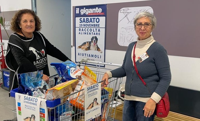 Al Gigante la raccolta alimentare con Balzoo per gli amici animali