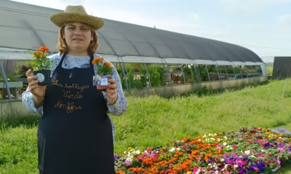 Anffas Novara e Anffas Borgomanero lanciano la campagna "Fiori... di testa"