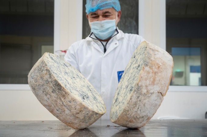 Gorgonzola Dop: oltre 2 milioni di forme esportate nel 2023