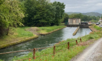 Basta animali morti nel canale di Grignasco: già raccolte 300 firme