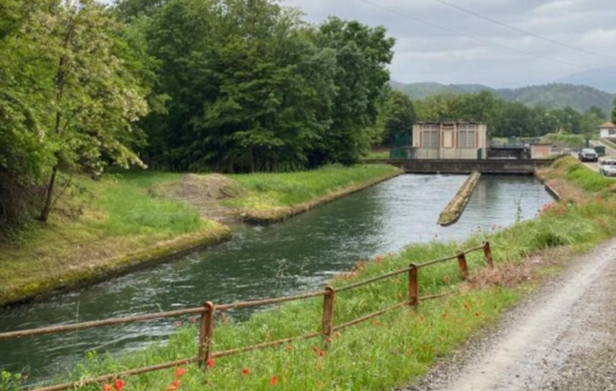 Basta animali morti nel canale di Grignasco: già raccolte 300 firme