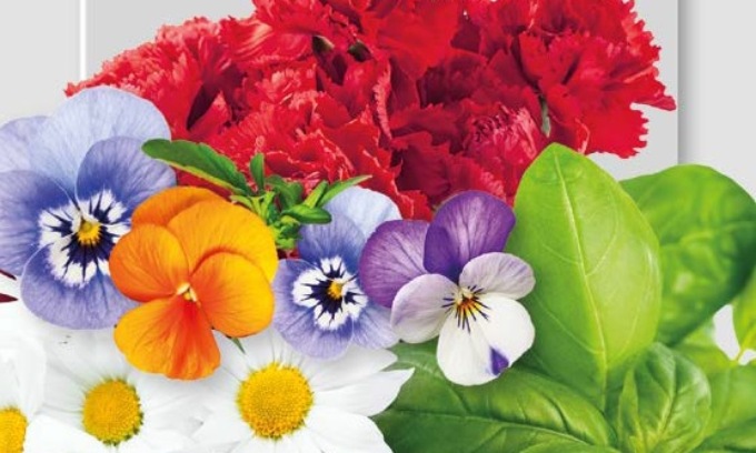 In regalo con i nostri giornali fiori… da mangiare
