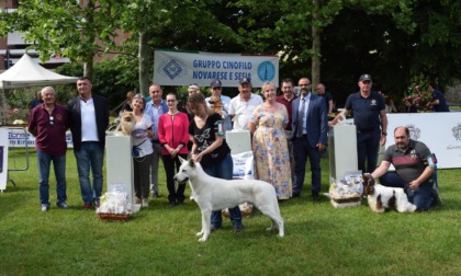 Borgomanero: è tutto pronto per una domenica ...da cani