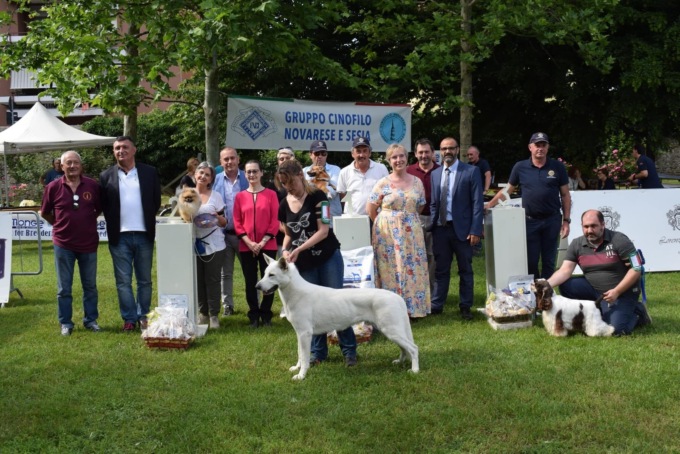 Domenica a Borgomanero esposizione canina e “girocane”