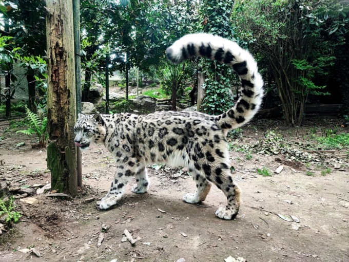 Magico tramonto alla Torbiera con il Fai