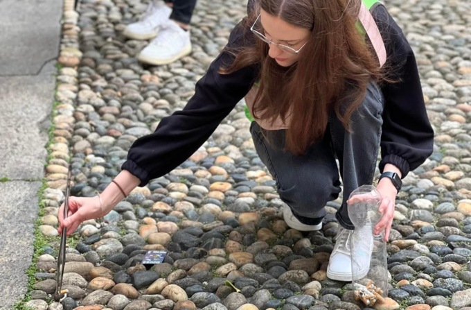 Pulizia del centro: Novara Green raccoglie in un’ora 1 kg di mozziconi