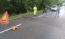 Strada del Lago d'Orta chiusa: la Provincia sollecita Anas per soluzioni